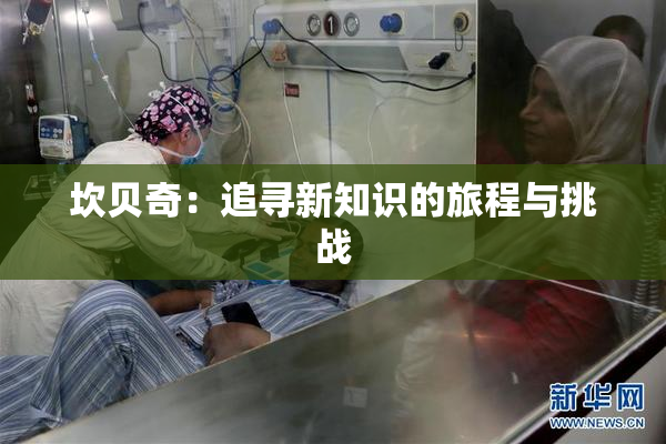 坎贝奇：追寻新知识的旅程与挑战