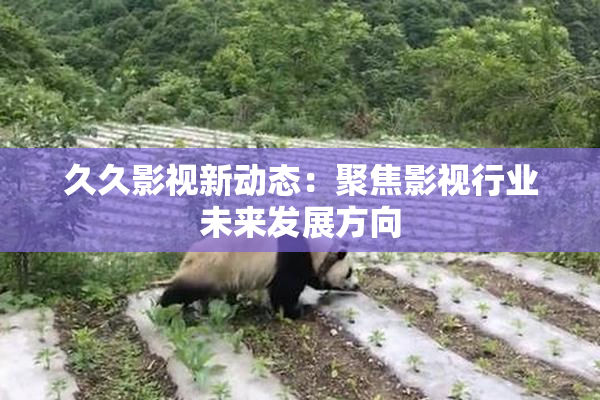 久久影视新动态：聚焦影视行业未来发展方向