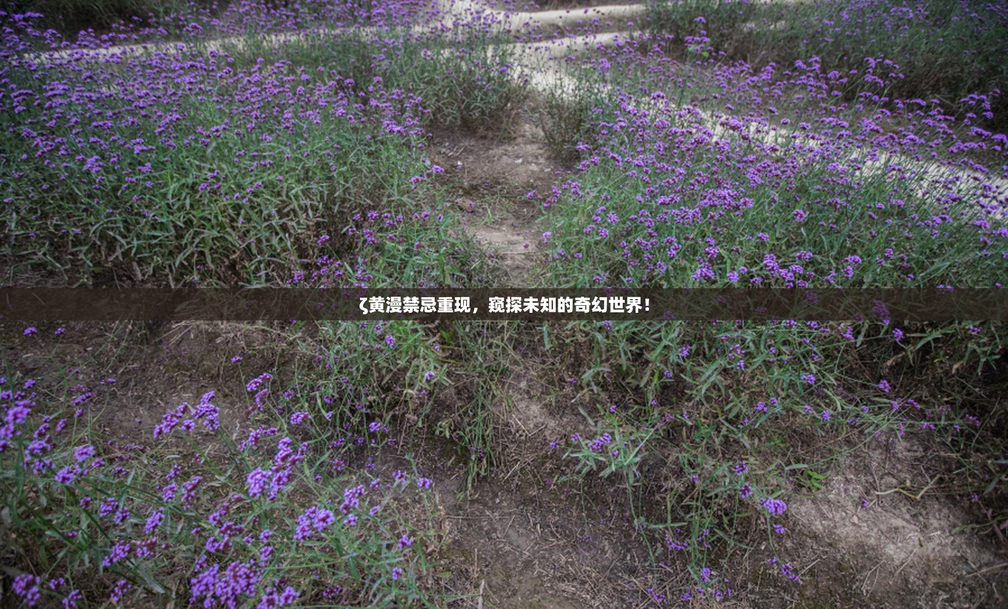 ζ黄漫禁忌重现，窥探未知的奇幻世界！