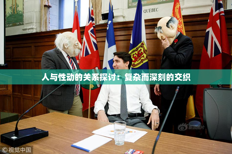 人与性动的关系探讨：复杂而深刻的交织