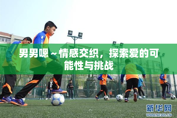 男男嗯～情感交织，探索爱的可能性与挑战