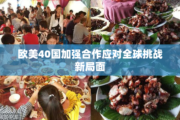 欧美40国加强合作应对全球挑战新局面