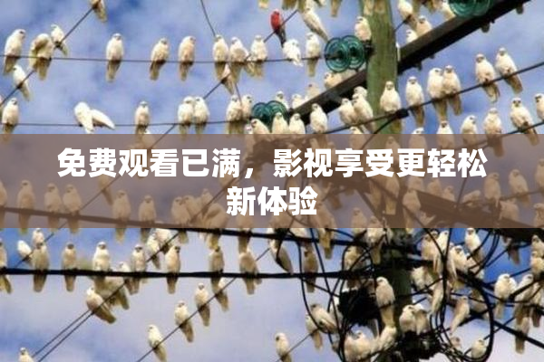 免费观看已满，影视享受更轻松新体验