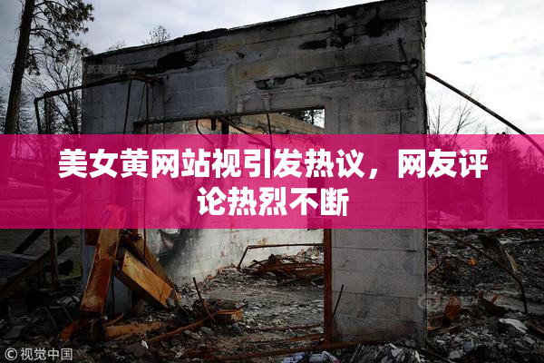 美女黄网站视引发热议，网友评论热烈不断