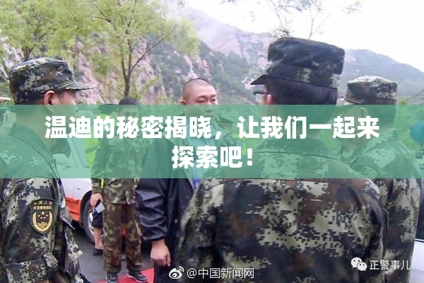 温迪的秘密揭晓，让我们一起来探索吧！