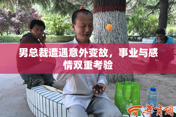男总裁遭遇意外变故，事业与感情双重考验