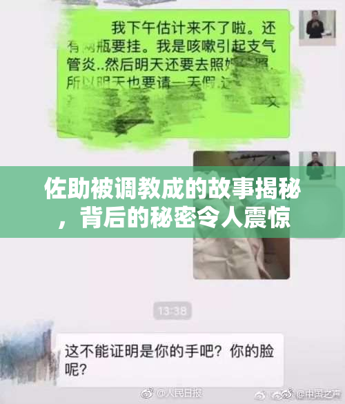 佐助被调教成的故事揭秘，背后的秘密令人震惊