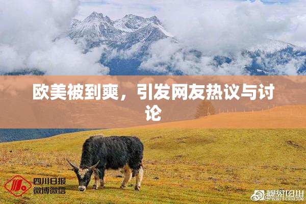 欧美被到爽，引发网友热议与讨论