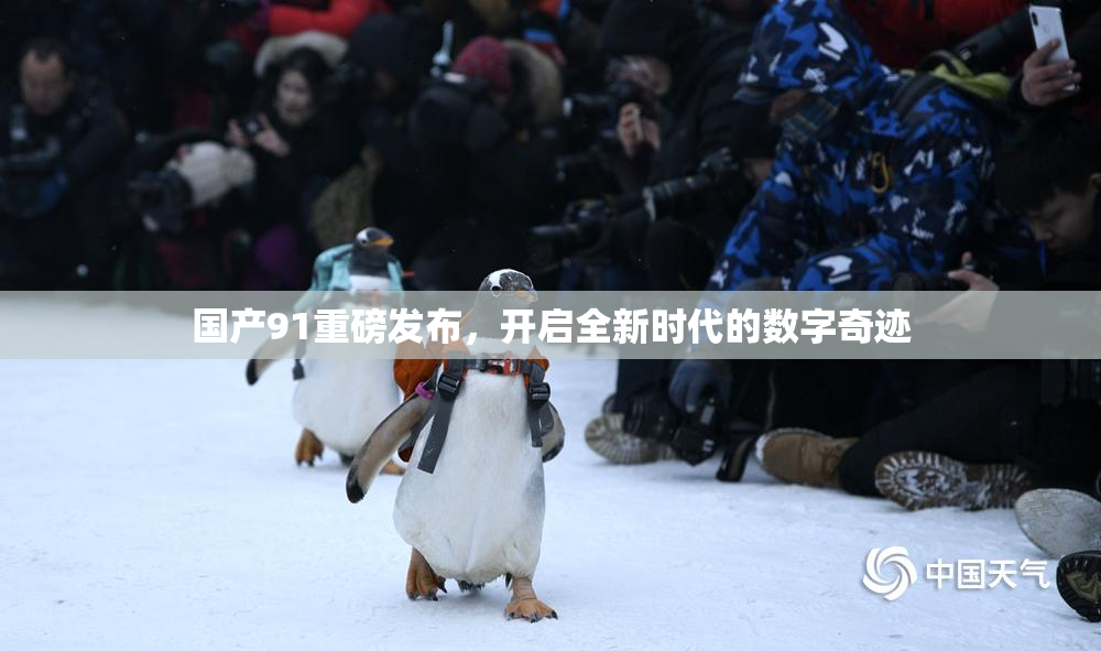 国产91重磅发布，开启全新时代的数字奇迹