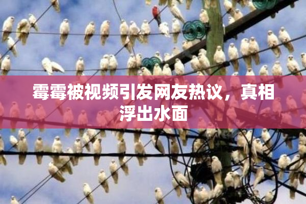 霉霉被视频引发网友热议，真相浮出水面