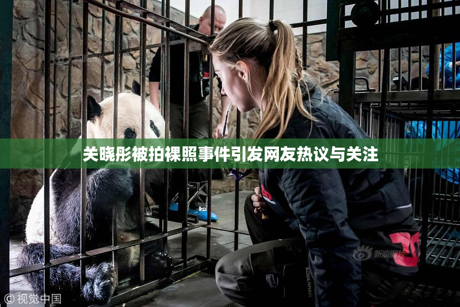 关晓彤被拍裸照事件引发网友热议与关注