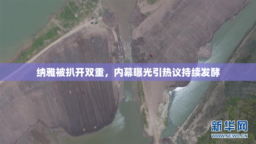 纳雅被扒开双重，内幕曝光引热议持续发酵