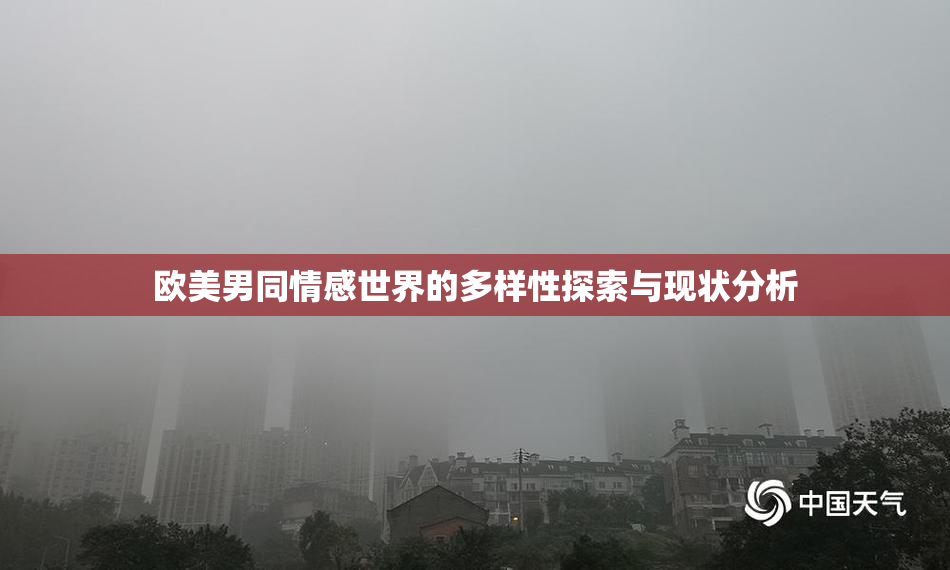 欧美男同情感世界的多样性探索与现状分析