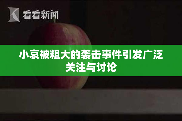 小哀被粗大的袭击事件引发广泛关注与讨论