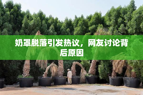 奶罩脱落引发热议，网友讨论背后原因