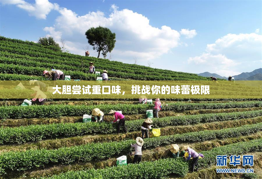 大胆尝试重口味，挑战你的味蕾极限