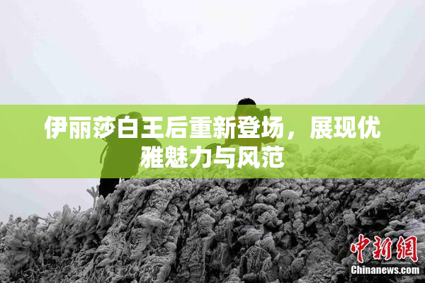 伊丽莎白王后重新登场，展现优雅魅力与风范