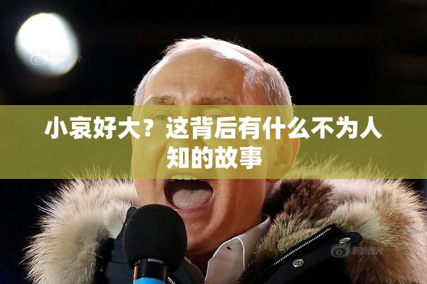 小哀好大？这背后有什么不为人知的故事