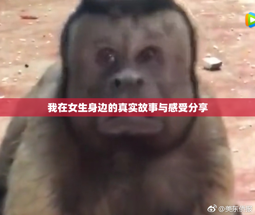 我在女生身边的真实故事与感受分享