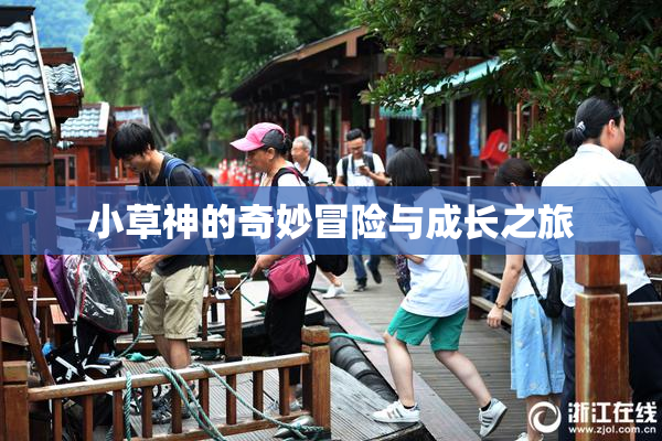 小草神的奇妙冒险与成长之旅