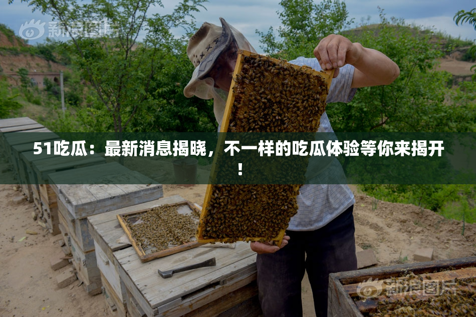 51吃瓜：最新消息揭晓，不一样的吃瓜体验等你来揭开！