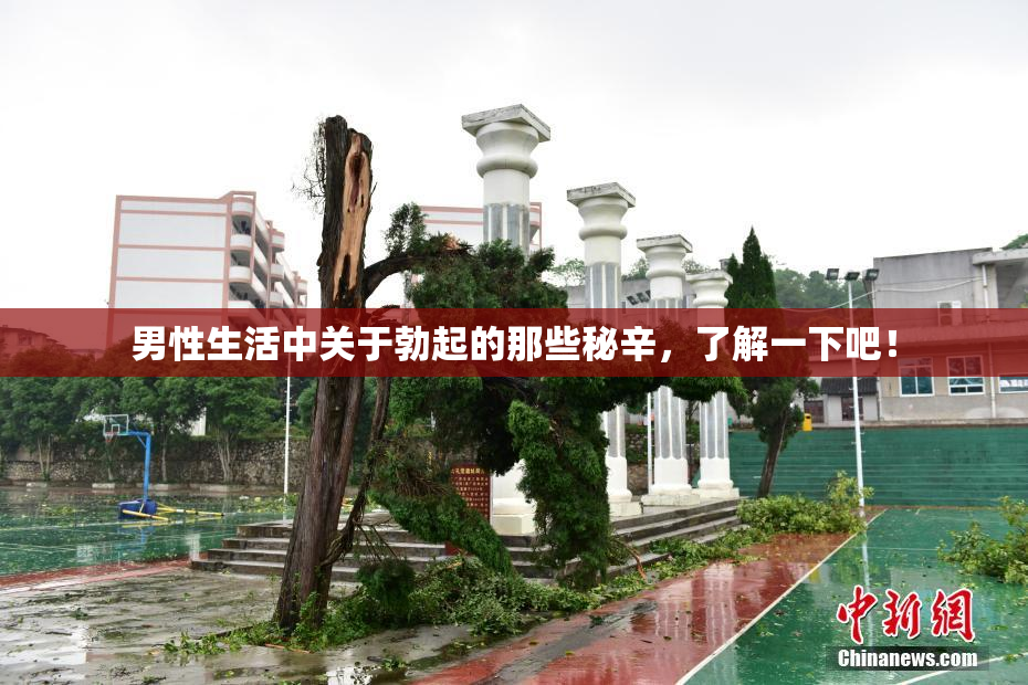 男性生活中关于勃起的那些秘辛，了解一下吧！