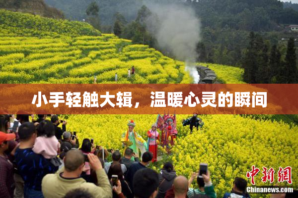小手轻触大辑，温暖心灵的瞬间