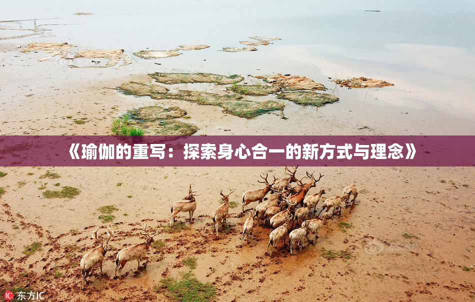 《瑜伽的重写：探索身心合一的新方式与理念》