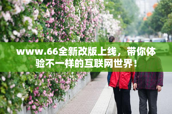 www.66全新改版上线，带你体验不一样的互联网世界！