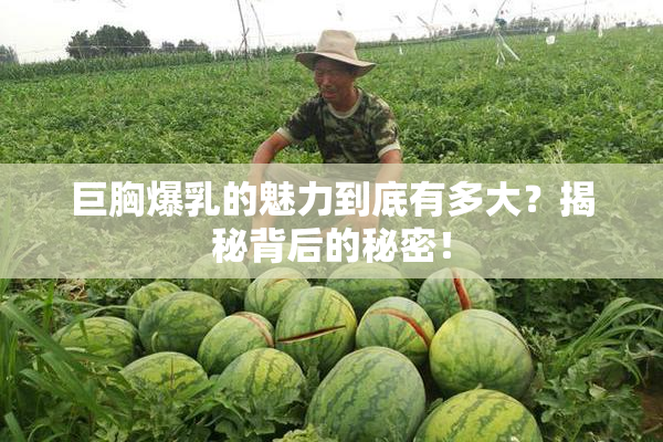 巨胸爆乳的魅力到底有多大？揭秘背后的秘密！
