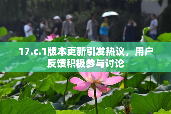 17.c.1版本更新引发热议，用户反馈积极参与讨论