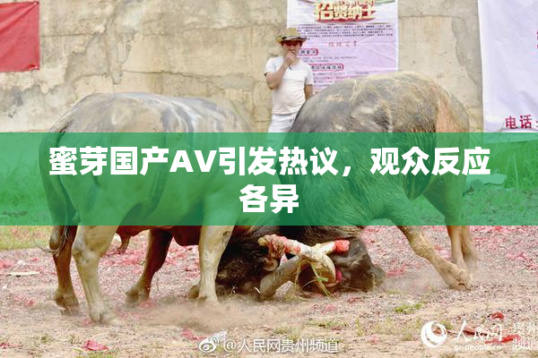 蜜芽国产AV引发热议，观众反应各异