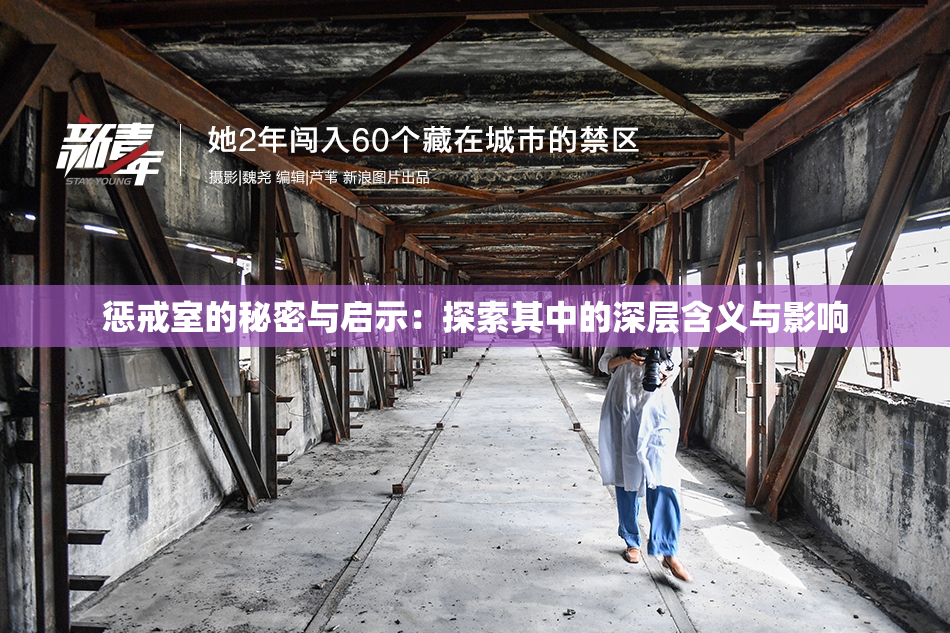 惩戒室的秘密与启示：探索其中的深层含义与影响
