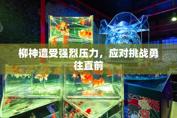 柳神遭受强烈压力，应对挑战勇往直前