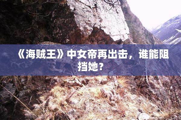 《海贼王》中女帝再出击，谁能阻挡她？