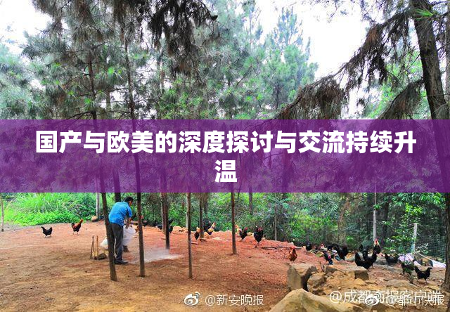 国产与欧美的深度探讨与交流持续升温