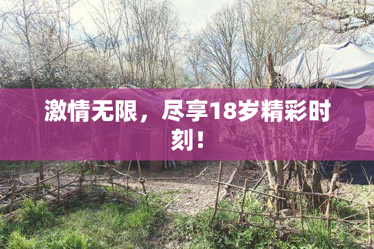 激情无限，尽享18岁精彩时刻！