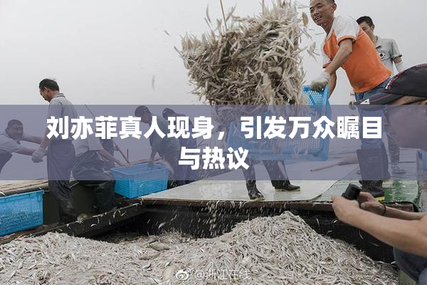 刘亦菲真人现身，引发万众瞩目与热议