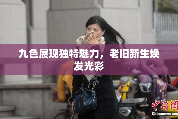 九色展现独特魅力，老旧新生焕发光彩