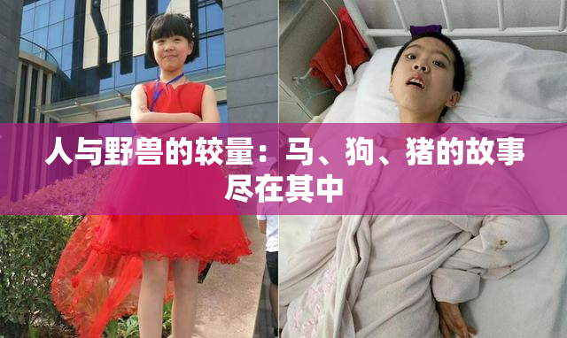 人与野兽的较量：马、狗、猪的故事尽在其中