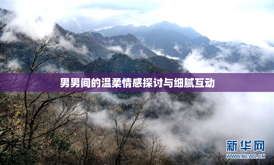 男男间的温柔情感探讨与细腻互动