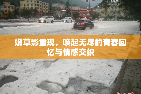 嫩草影重现，唤起无尽的青春回忆与情感交织