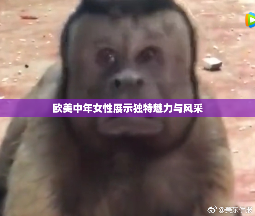 欧美中年女性展示独特魅力与风采