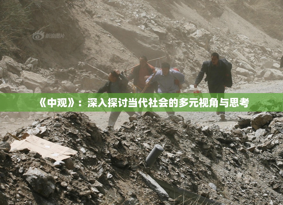《中观》：深入探讨当代社会的多元视角与思考