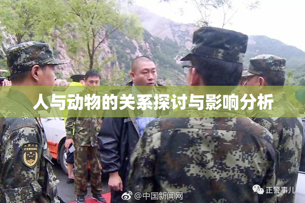 人与动物的关系探讨与影响分析