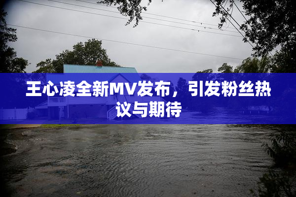 王心凌全新MV发布，引发粉丝热议与期待