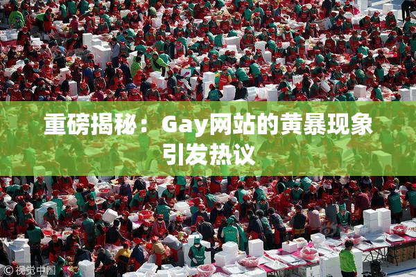 重磅揭秘：Gay网站的黄暴现象引发热议