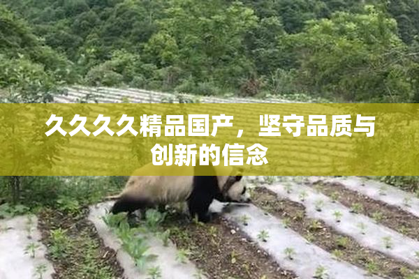 久久久久精品国产，坚守品质与创新的信念