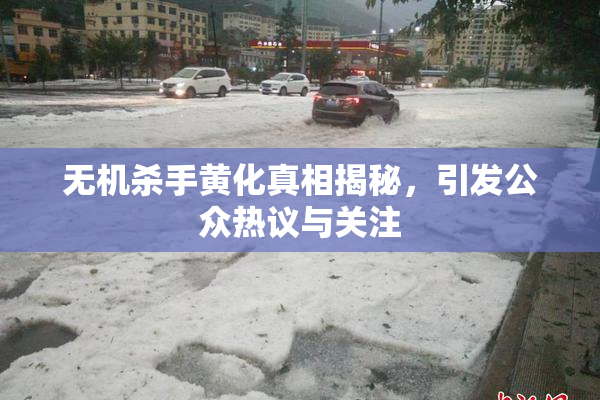 无机杀手黄化真相揭秘，引发公众热议与关注