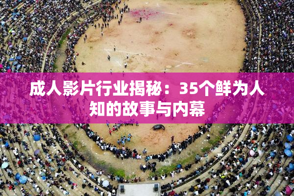 成人影片行业揭秘：35个鲜为人知的故事与内幕